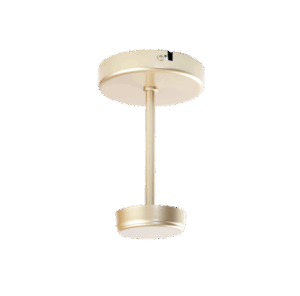 1160/1 PLAFON MIDDLE CHAMPAGNE 3000K